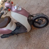 پاکشتی خوب خونگی