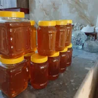 عسل گون|خوردنی و آشامیدنی|قم, آزادگان|دیوار