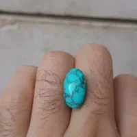 فیروزه شجری