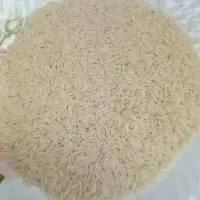 نیمدانه هاشمی نیمه دودی آستانه اشرفیه|خوردنی و آشامیدنی|رشت, خرسندی|دیوار