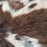 پوست بز|صنایع دستی و سایر لوازم تزئینی|سنندج, |دیوار