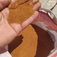 خاکشیر