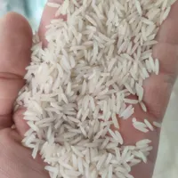 برنج شیرودی درجه یک برندهایلی|خوردنی و آشامیدنی|رشت, کوی فرهنگیان|دیوار