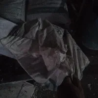 پوکه گلخانه ای