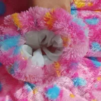 کاپشن|لباس|خرمشهر, |دیوار