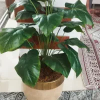 دو عدد گل مصنوعی شیک و جنس خوب|گل مصنوعی|قرچک, پویینک|دیوار