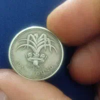 وسایل قدیمی|کلکسیون سکه، تمبر، اسکناس|صدرا-فارس, فاز ۱|دیوار