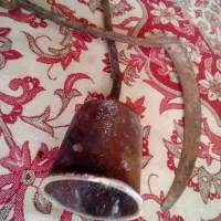 س پیک ایزوگام وداس