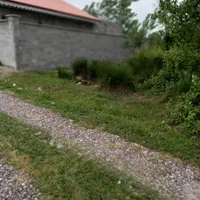 فروش زمین ۲۶۷ متری در رشت روستای کولوش طالشان|فروش زمین و ملک کلنگی|رشت, احمد گوراب|دیوار