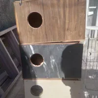 قفس و لانه چوبی نو معاوضه با آکواریوم|پرنده|مشهد, ویلاشهر|دیوار