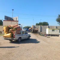 یونجه سبز|عمدهفروشی|شوشتر, |دیوار