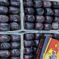 خرما درجه ۱