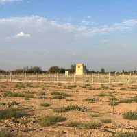 فروش ملک سند دار در شهر تاکستان|فروش دفتر صنعتی، کشاورزی، تجاری|کرج, جهان‌شهر|دیوار