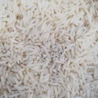 برنج شیرودی سورتینگ شده،و عنبربو|خوردنی و آشامیدنی|قم, عمار یاسر|دیوار