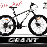 دوچرخه 26 جاینت مدل C110