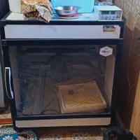 لوازم جانبی وحیوانات|لوازم جانبی حیوانات|بهشهر, |دیوار