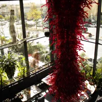 سالنکار ، ویتر، ظرف شور . خدمات|استخدام خدمات فروشگاه و رستوران|تهران, گلستان (شهرک راه آهن)|دیوار