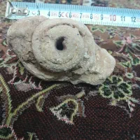 سنگ فسیل