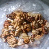 گردوتازه