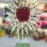 گل فروشی آنلاین قم|گل و گیاه طبیعی|قم, تولید دارو و یخچال|دیوار