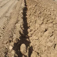 زمین-کشاورزی-اجاره-ای-با-چاه-موتور-برقی-پروانه-دا