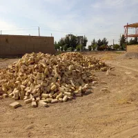 اجر درج یک سالم بدونه خورده آجر|مصالح و تجهیزات ساختمان|اسفرورین, |دیوار