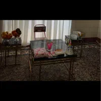 جلو مبلی و عسلی