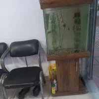 آکواریوم باماهی