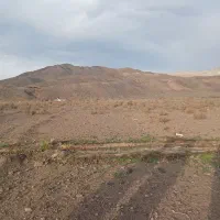 فروش زمین مسکونی راین