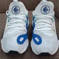 کتونی اورجینال|کیف، کفش، کمربند|تهران, تختی|دیوار