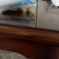 کتونی استوک|کیف، کفش، کمربند|محمدشهر, ولدآباد|دیوار