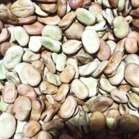 باقالا باقالی