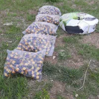 خدمات قطره ای باغ  بصورت صفر تا صد با تیم حرفه ای