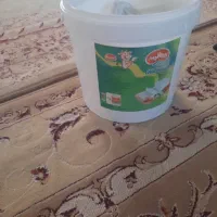سطل پنیر