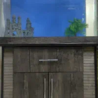 فروش اکواریوم