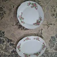 ظرف برنج خوری و مرغ خوری چینی