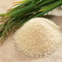 برنج و خرده برنج کامفیروزی و انواع حبوبات|خوردنی و آشامیدنی|صدرا-فارس, |دیوار