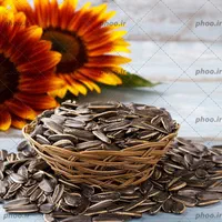 تخمه درجه 1|خوردنی و آشامیدنی|اصفهان, گلزار|دیوار