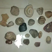 خرید و فروش انواع سنگ و شهابسنگ وفسیل قیمتی و عقیق