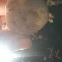 سنگ آنتیک و خاص|جواهرات|مشهد, سجاد شهر|دیوار