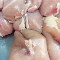 سینه فیله مرغ