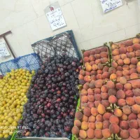 نیروی کار در میوه فروشی|استخدام خدمات فروشگاه و رستوران|تهران, امام حسین|دیوار
