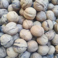 گردو خوش طعم وارگانیک دشتک