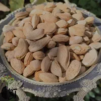 بادام سنگی دومغز