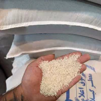 برنج طارم دانه بلند