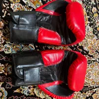 دستکش بکس|تجهیزات ورزشی|مشهد, مشکینی (شهرک غرب)|دیوار