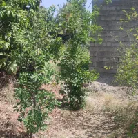 فروش زمین باغی۴۰۰ مترروستایی شهوار