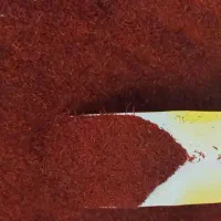 زعفرون مشهد