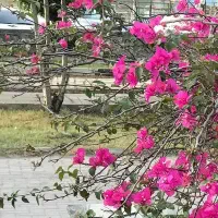 لازم برای شخص