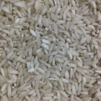 برنج و نیم دانه|خوردنی و آشامیدنی|شوشتر, |دیوار